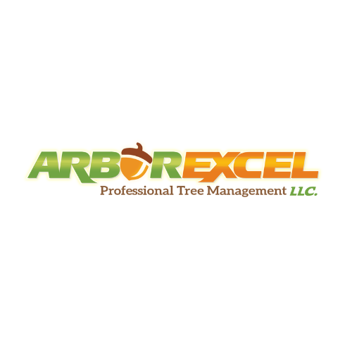 Arbor Excel, LLC