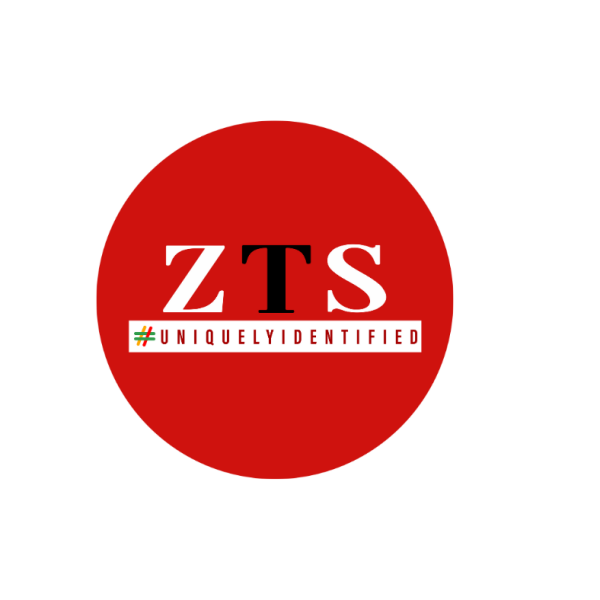 ZTS Infotech Pvt Ltd