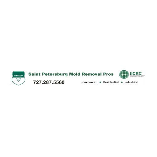 Saint Petersburg Mold Remediation Pros