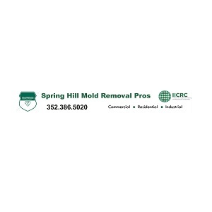 Spring Hill Mold Remediation Pros