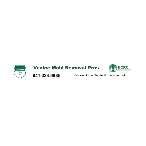 Venice Mold Remediation Pros