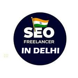 SEO Freelancer in Delhi