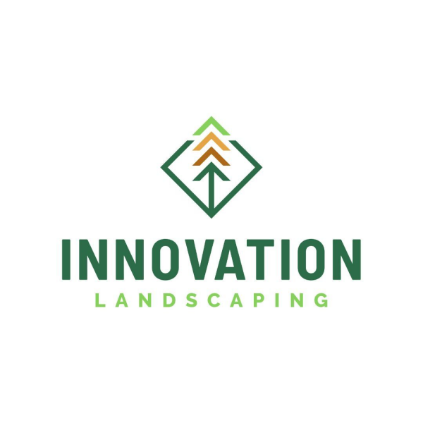 Innovation Landscaping