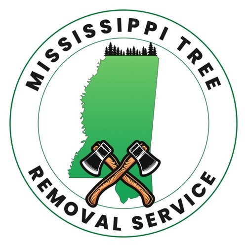 Mississippi Tree Removal Service