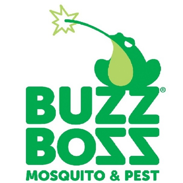 Buzz Boss