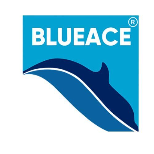 Blueace India limited