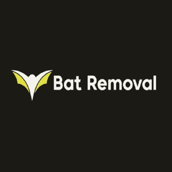 Bat Removal Hamilton