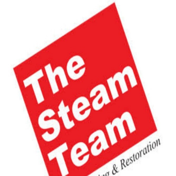The Steam Team