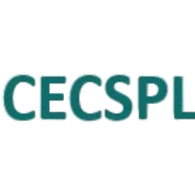 Collegian Excel Consultancy Services (P.) Ltd.