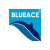 Blueace India Limited