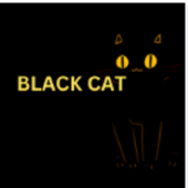 Black cat CCTV Camera - Startupxplore Black cat CCTV Camera