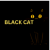 Black cat CCTV Camera