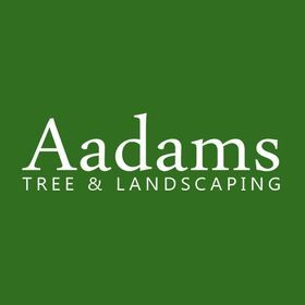 Aadams Tree Service, Trimming, & Stump Grinding Woodinville Wa