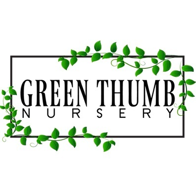 Green Thumb Nursery