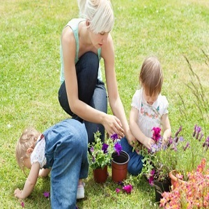 Garden Decking Service