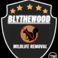 Blythewood Wildlife Removal and Pest Control