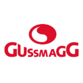 Gussmagg GmbH