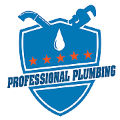 Professional Plumbing LLC