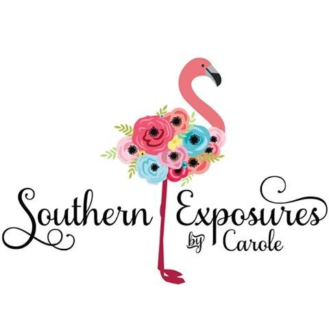 Southern Exposures by Carole