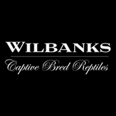 Wilbanks Captive Bred Reptiles