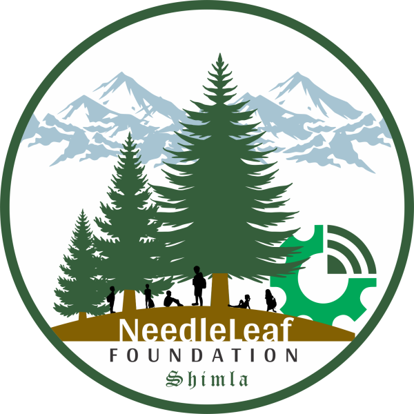 needleleaffoundation