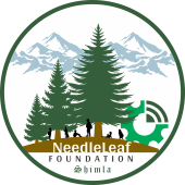 needleleaffoundation