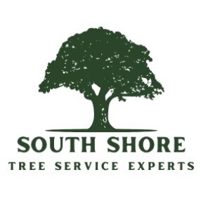 South Shore Tree Service Experts
