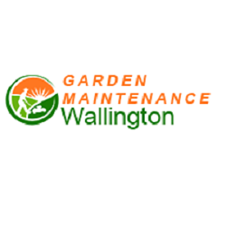 Garden Maintenance Wallington