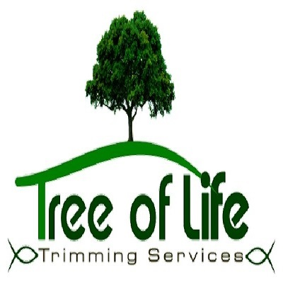 A Tree Of Life Trimming Services