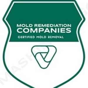 Bakersfield Mold Remediation Pros