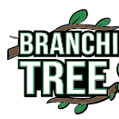 Tree Service Suffolk County Amityville