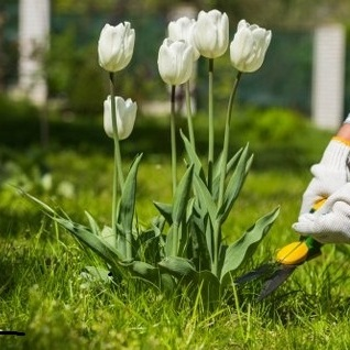 Comprehensive Plumbing & Drains