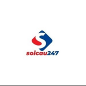 soicau 247 - Startupxplore soicau 247