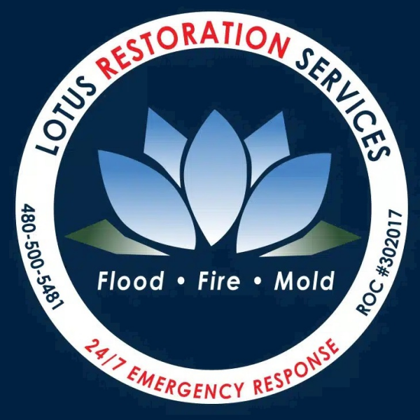 Lotus Restoration