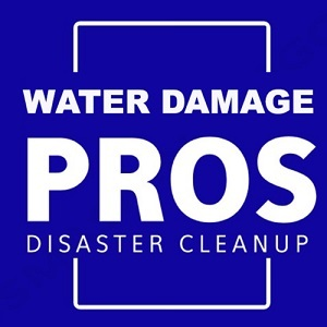 Mill Creek Water Damage Pros