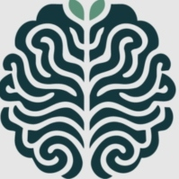 Hopeful Minds Mental Health