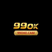 99okecam - Startupxplore 99okecam
