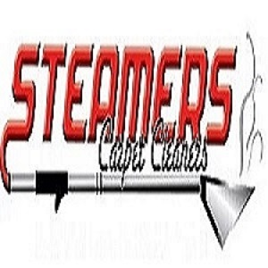 Steamers Carpet Cleaners