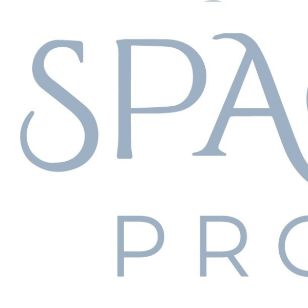 Space Maker Professional
