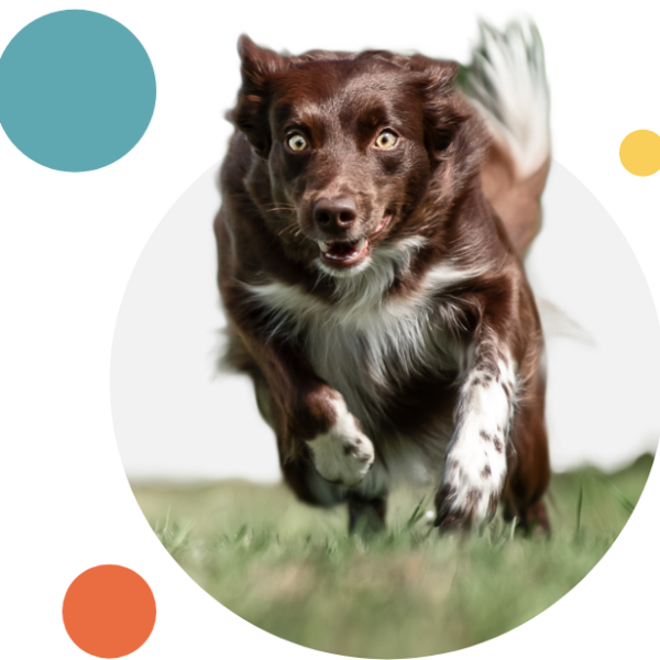Agility Hub