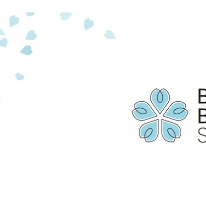 Blue Blossom Surveys Ltd