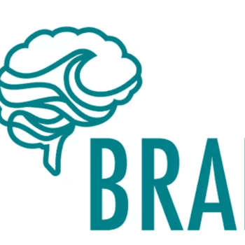Brain Wave | Superfood Mushroom Supplements