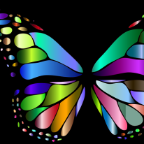Healed Heart Hypnosis & Intuitive Awakenings
