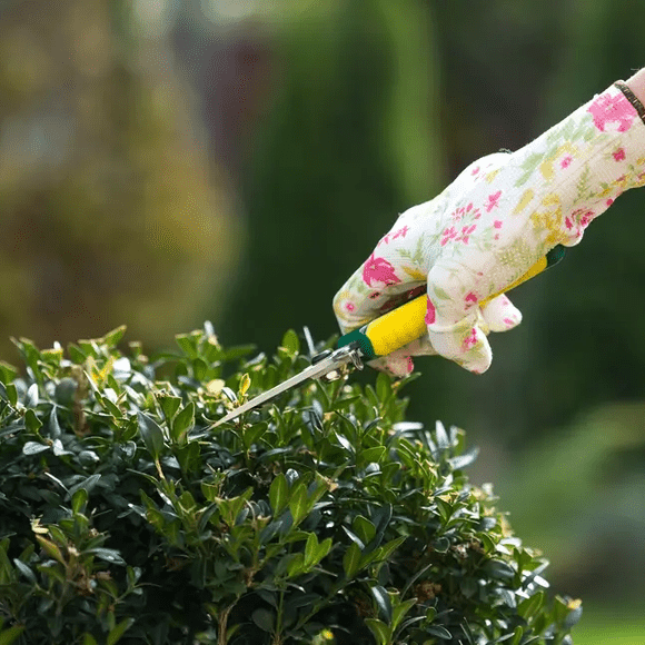 Pressure Washing Muswell Hill