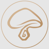 Fungaia UG - Startupxplore Fungaia UG