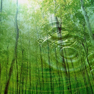 Healing with Homeopathy