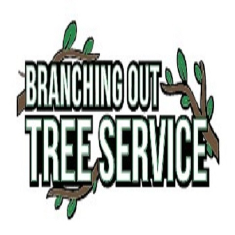 Tree Cutting & Trimming Levittown