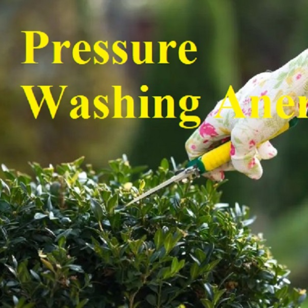 Pressure Washing Anerley