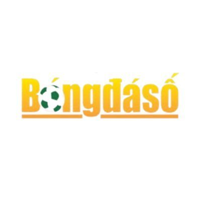 bongdasovipcon