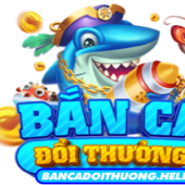 Bắn Cá Đổi Thưởng | Top 21 Game Bắn Cá Uy Tín Năm 2025 - Startupxplore Bắn Cá Đổi Thưởng | Top 21 Game Bắn Cá Uy Tín Năm 2025
